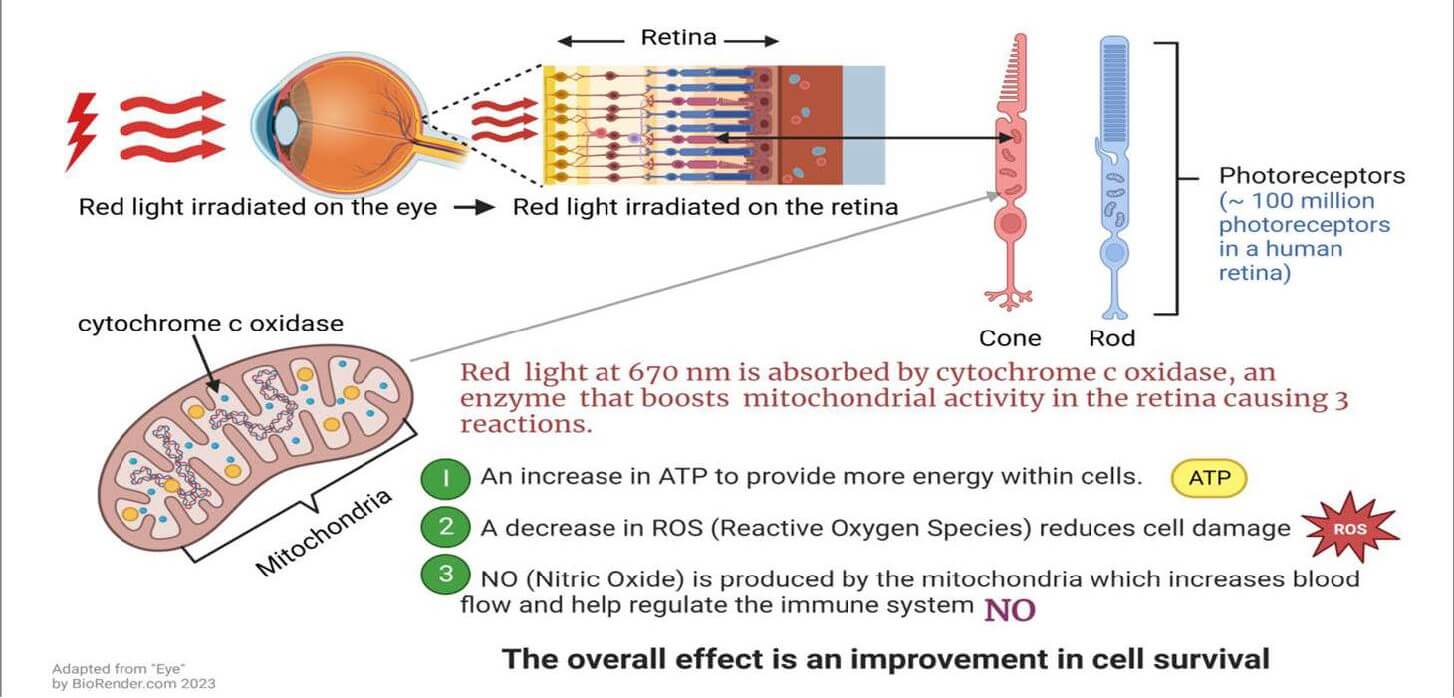 photobiomodulation arunalight
