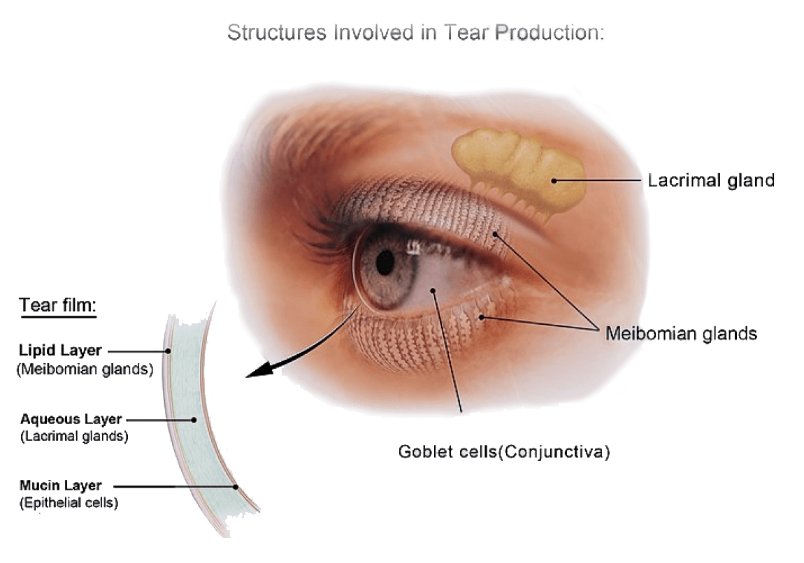 jett plasma image kodak lens vision centres eyetrust eyecare 6